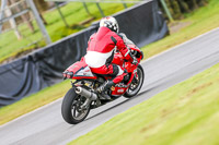 Oulton-Park-14th-March-2020;PJ-Motorsport-Photography-2020;anglesey;brands-hatch;cadwell-park;croft;donington-park;enduro-digital-images;event-digital-images;eventdigitalimages;mallory;no-limits;oulton-park;peter-wileman-photography;racing-digital-images;silverstone;snetterton;trackday-digital-images;trackday-photos;vmcc-banbury-run;welsh-2-day-enduro